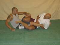 Leglock submission