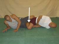 Leglock submission