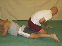 Leglock submission