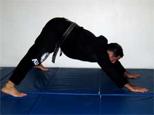 Conditioning exercises for martial arts