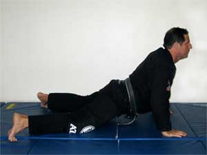 Conditioning exercises for martial arts