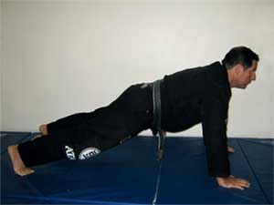 Bodyweight calesthetics for grappling