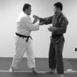 A Judo throw for BJJ