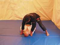 Kneemount Shaolin 1