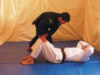 Shaolin Guard 2