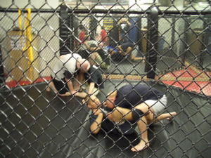 [Image: Color%201%20-%20Fighters%20training%20in%20cage.jpg]