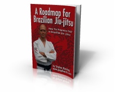 Roadmap for BJJ Book