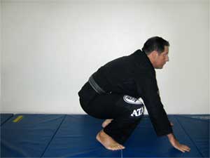 Bodyweight calesthetics for grappling