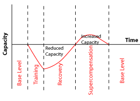 Training, recovery and supercompensation in athletes