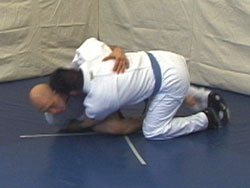 Butterfly guard sweep variation 1 photo 5
