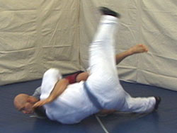 Butterfly guard sweep variation 1 photo 6