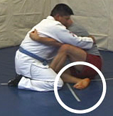Butterfly Guard Sweep Variation 2 Detail