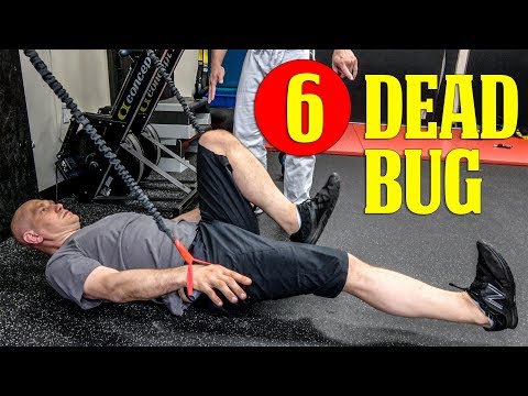 Best BJJ Strength Training Exercises 6: The 'Dead Bug' Core Exercise