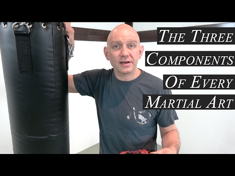 The 3 Components of Every Martial Art