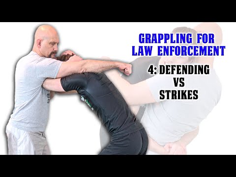 Control Techniques for Law Enforcement 4: Defending vs Strikes