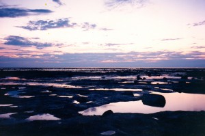 The Hudson Bay Tidal Flats