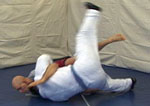 Butterfly Guard Sweep