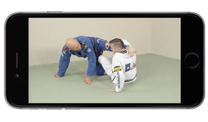 Nonstop Butterfly Guard App for Apple iPhone, iPad and iPod Touch