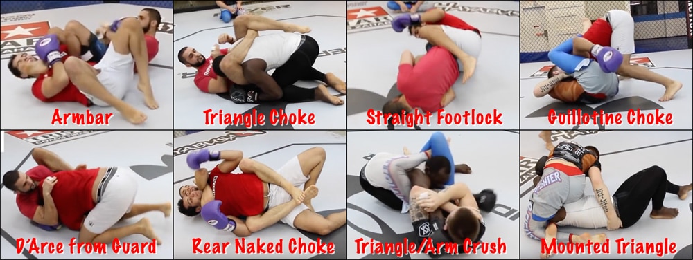 Other submissions that were used in the BJJ Self Defense Experiment