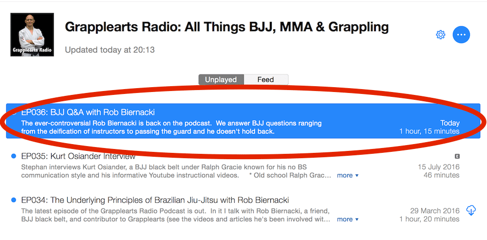 Grapplearts BJJ Q&A Podcast with Rob Biernacki