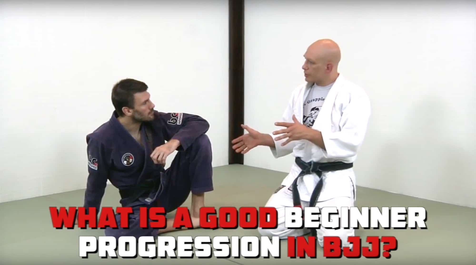What do you need to know to get your blue belt?