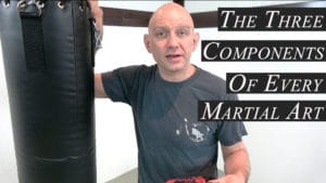 The 3 Components of Every Martial Art