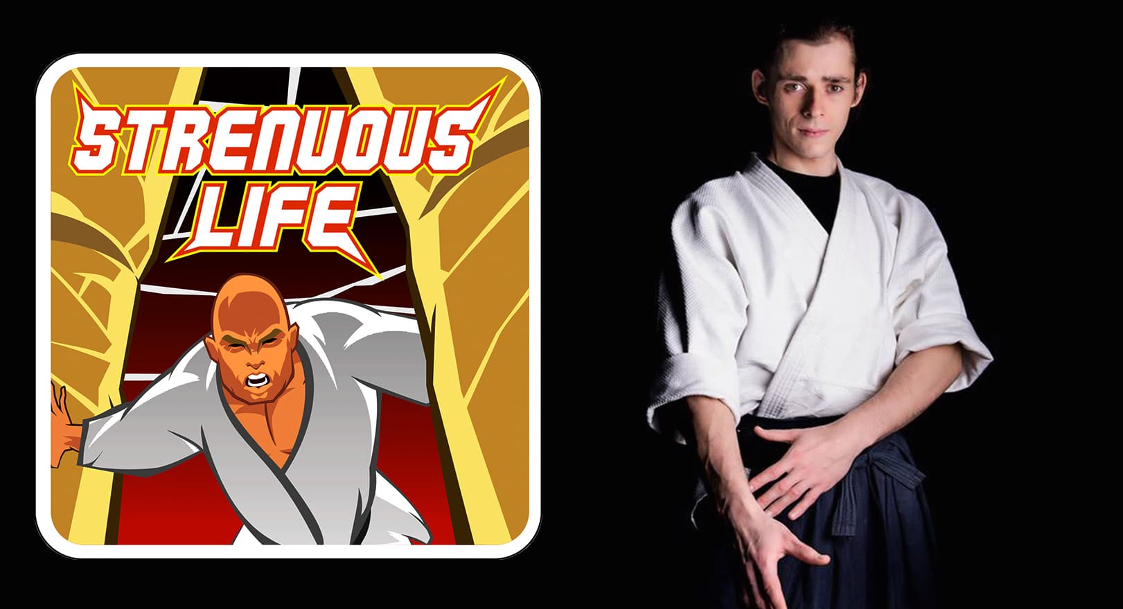 Aikido vs MMA