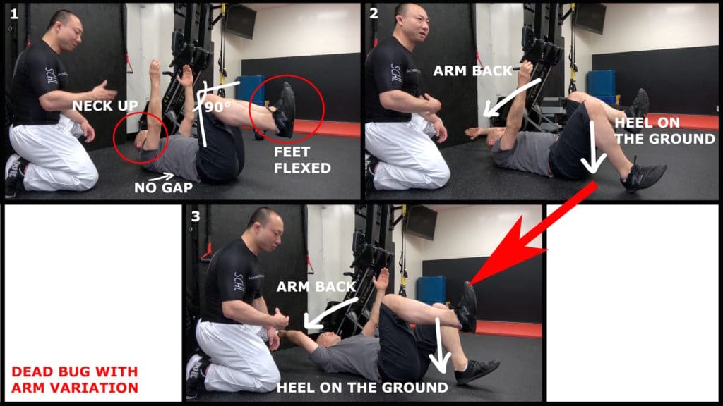 BJJ Strength Training, The Top 6 Exercises Grapplearts
