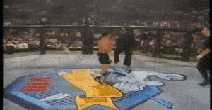 Gary Goodridge vs Paul Herrera - Crucifix Elbow Knockout in UFC 8