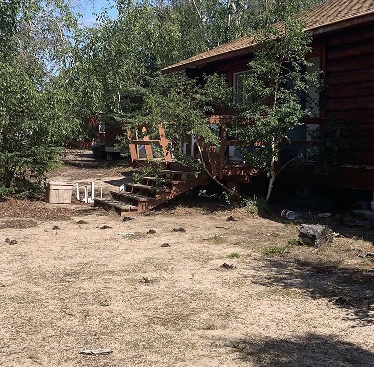 bear encounter on Nueltin Lake