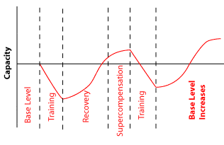 Training and Recovery chart