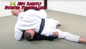 Side control variation 14 - Hips Partially Turned Towards Feet