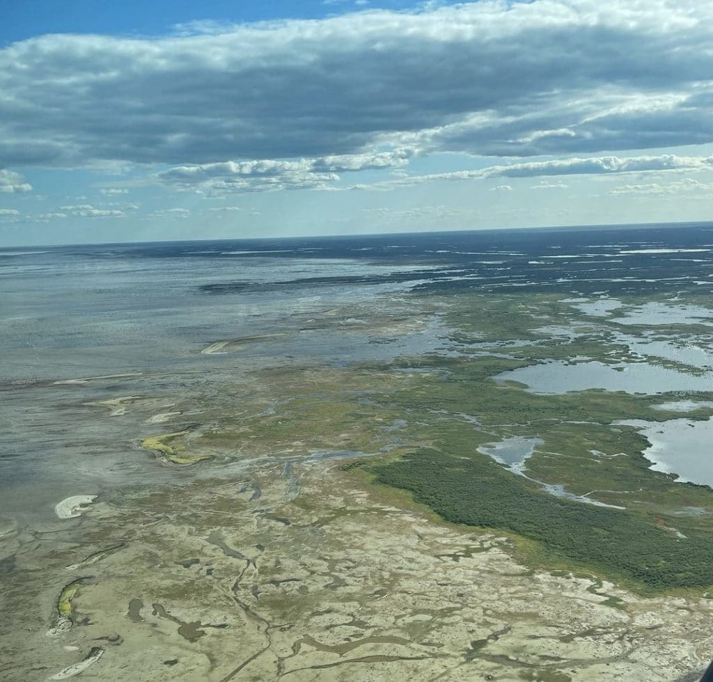 Hudson Bay Intertidal