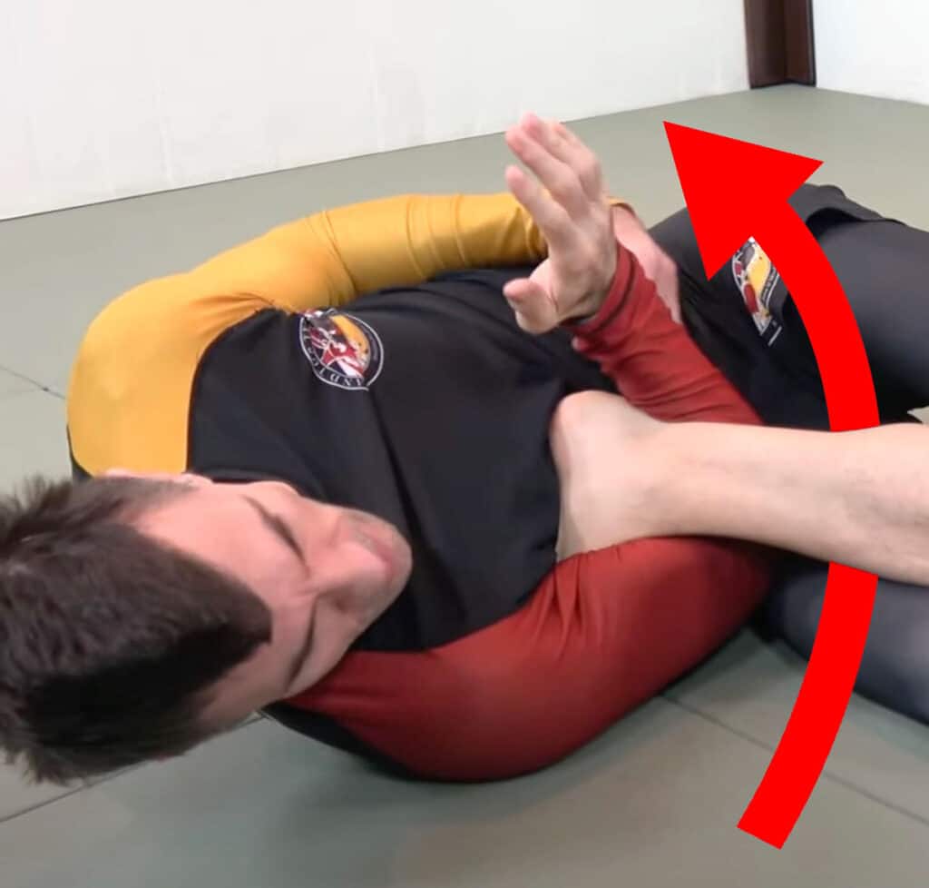 Aokilockarmpositioning1 Grapplearts