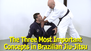 Base, Posture and Structure, the 3 Most Important Concepts in BJJ