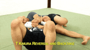 3 - T Kimura Reversal and Backtake