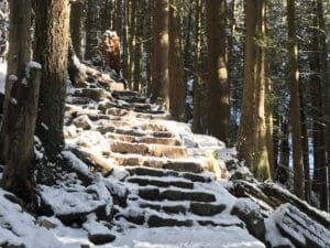 Grouse Grind Stairs