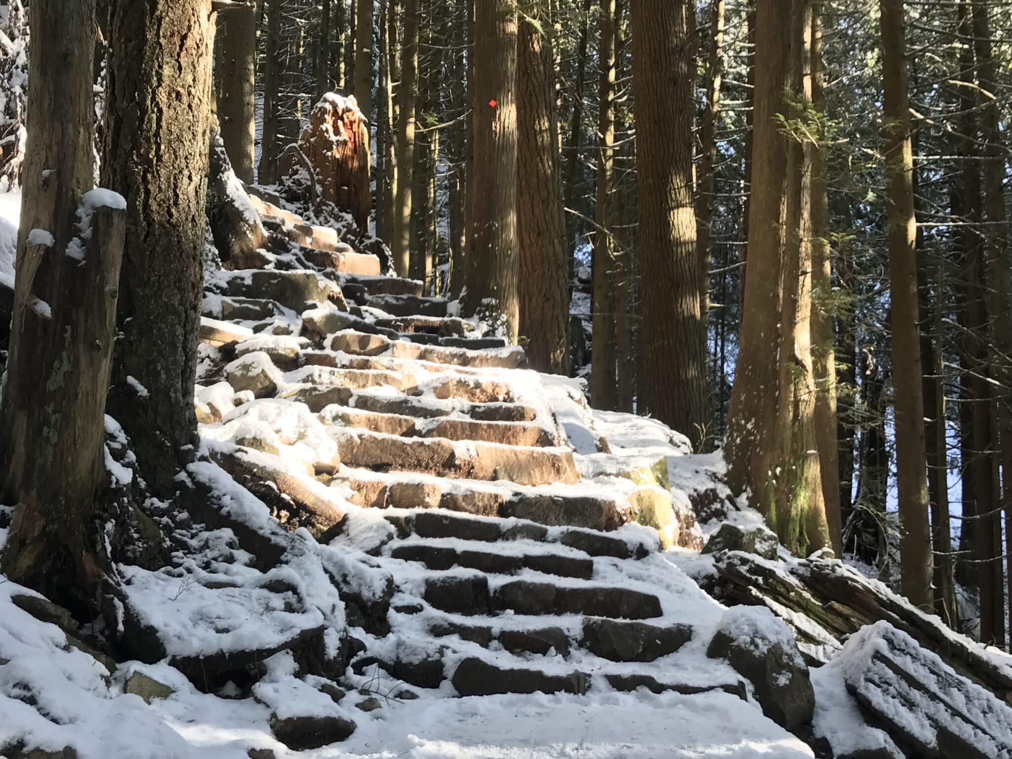 Grouse Grind Stairs