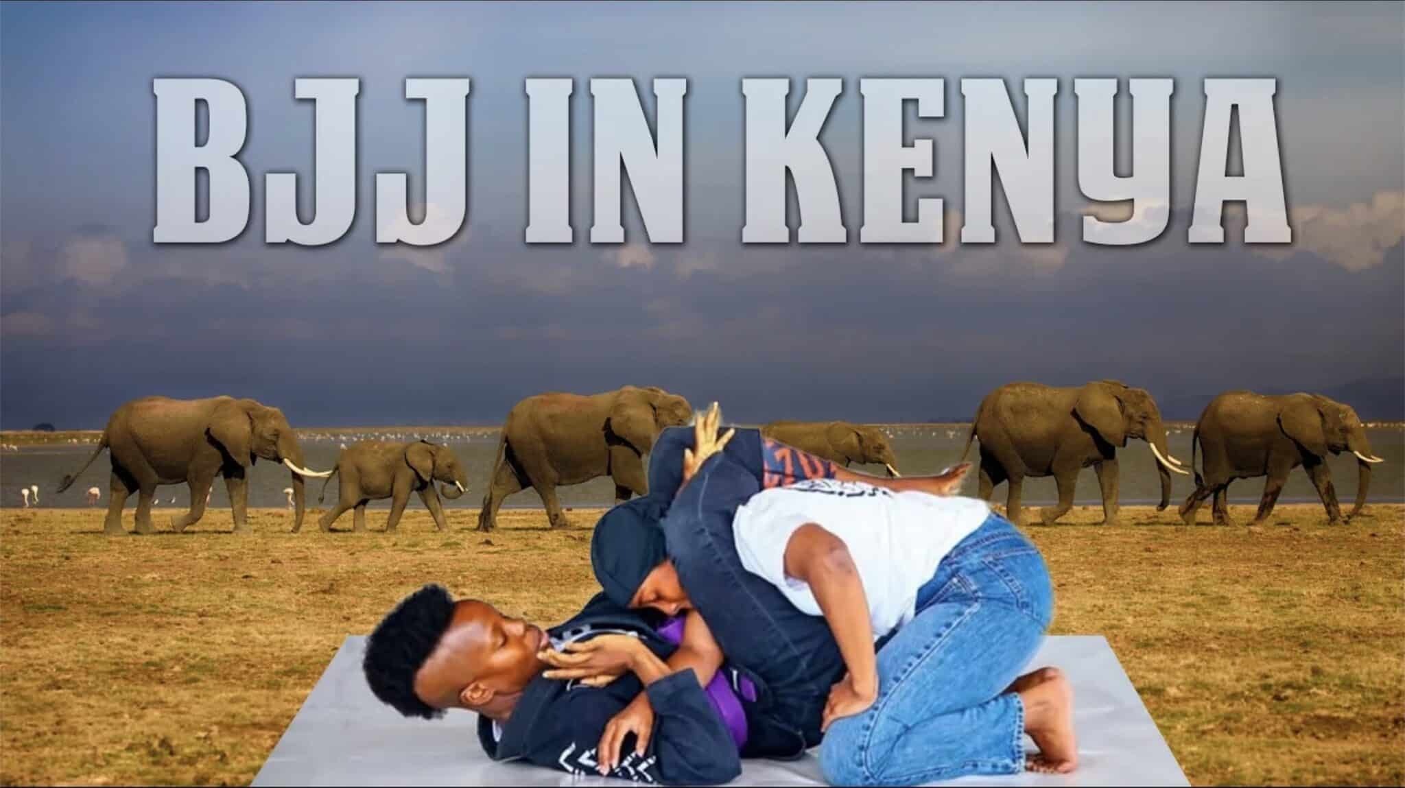 BJJ in Africa